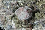 Chalcopyrite With Calcite - Pea Ridge Mine, Missouri #90980-1